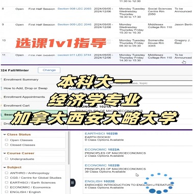 西安大略大学经济学本科
